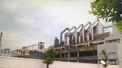 鹽中精華，卓筒晶品 品牌商標申請的戰略之路